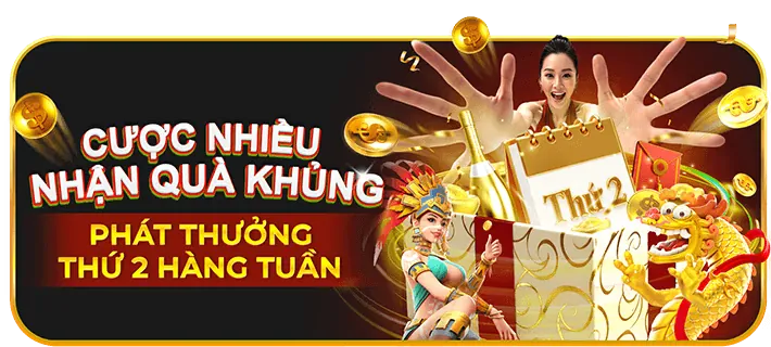 Hoàn trả hàng tuần zv99